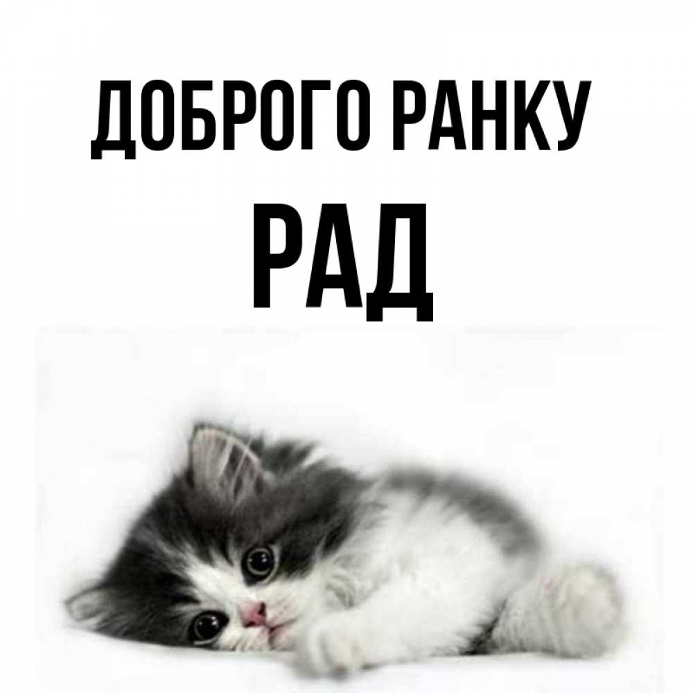 Открытка на каждый день з підписом, Рад Доброго ранку кот лапки Прикольна листівка з побажанням онлайн скачати безкоштовно 