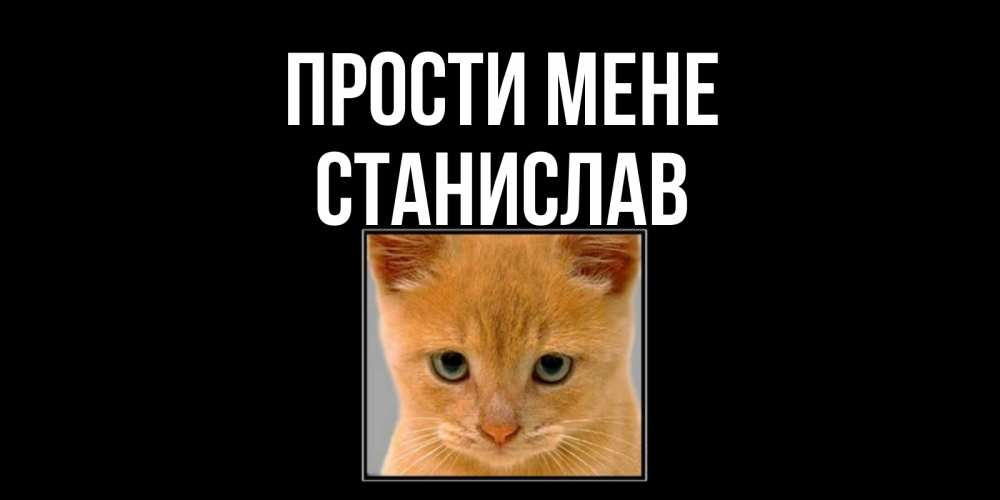 Открытка на каждый день з підписом, Станислав Прости мене рыжий грустный кот просит прощения Прикольна листівка з побажанням онлайн скачати безкоштовно 
