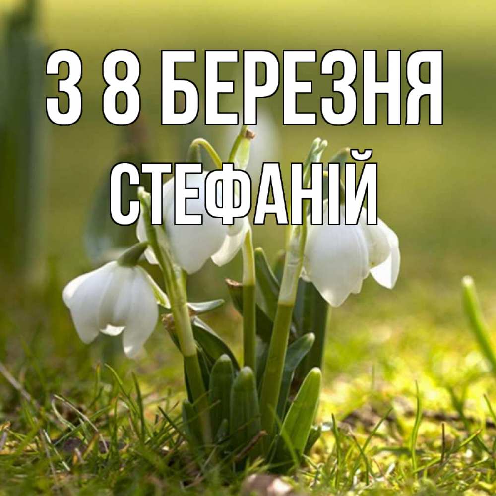 Открытка на каждый день з підписом, Стефаній З 8 БЕРЕЗНЯ ранние цветы 2 Прикольна листівка з побажанням онлайн скачати безкоштовно 
