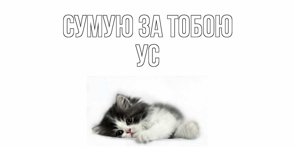 Открытка на каждый день з підписом, Ус Сумую за тобою кот, скука Прикольна листівка з побажанням онлайн скачати безкоштовно 