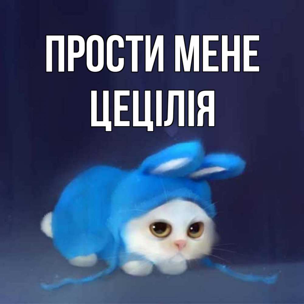 Открытка на каждый день з підписом, Цецілія Прости мене невинный котозай просит прощения Прикольна листівка з побажанням онлайн скачати безкоштовно 