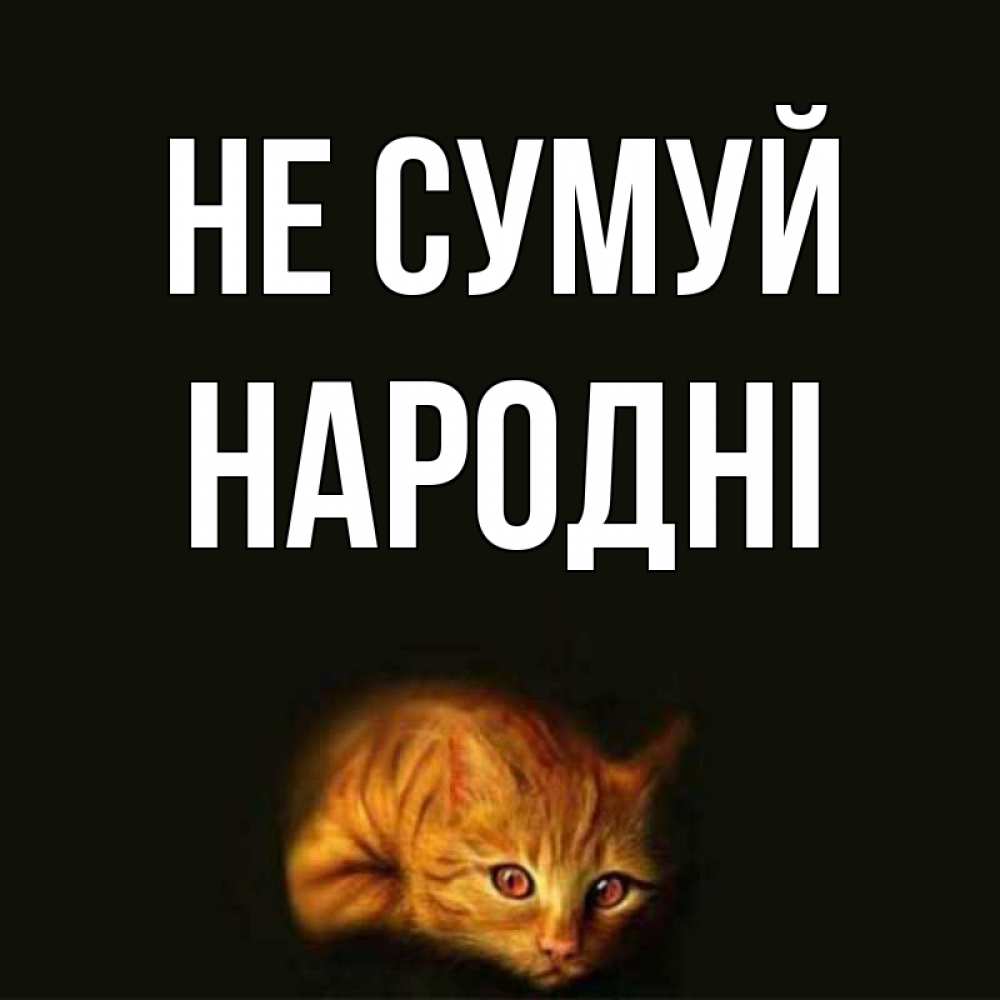 Открытка на каждый день з підписом, народні Не сумуй лежащий кот в темноте Прикольна листівка з побажанням онлайн скачати безкоштовно 