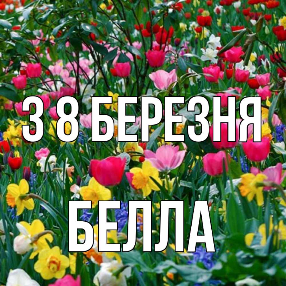 Открытка на каждый день з підписом, Белла З 8 БЕРЕЗНЯ с международным женским днем поздравления для женщины Прикольна листівка з побажанням онлайн скачати безкоштовно 