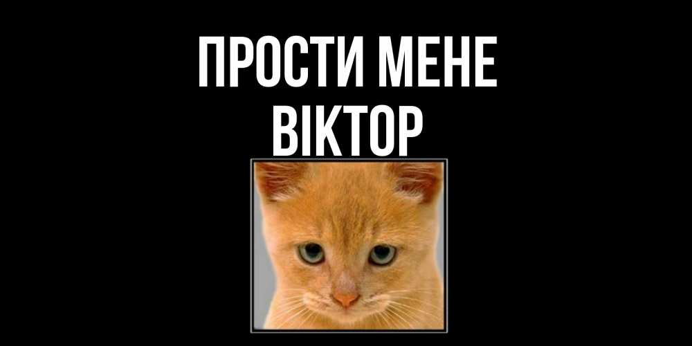 Открытка на каждый день з підписом, Віктор Прости мене рыжий грустный кот просит прощения Прикольна листівка з побажанням онлайн скачати безкоштовно 