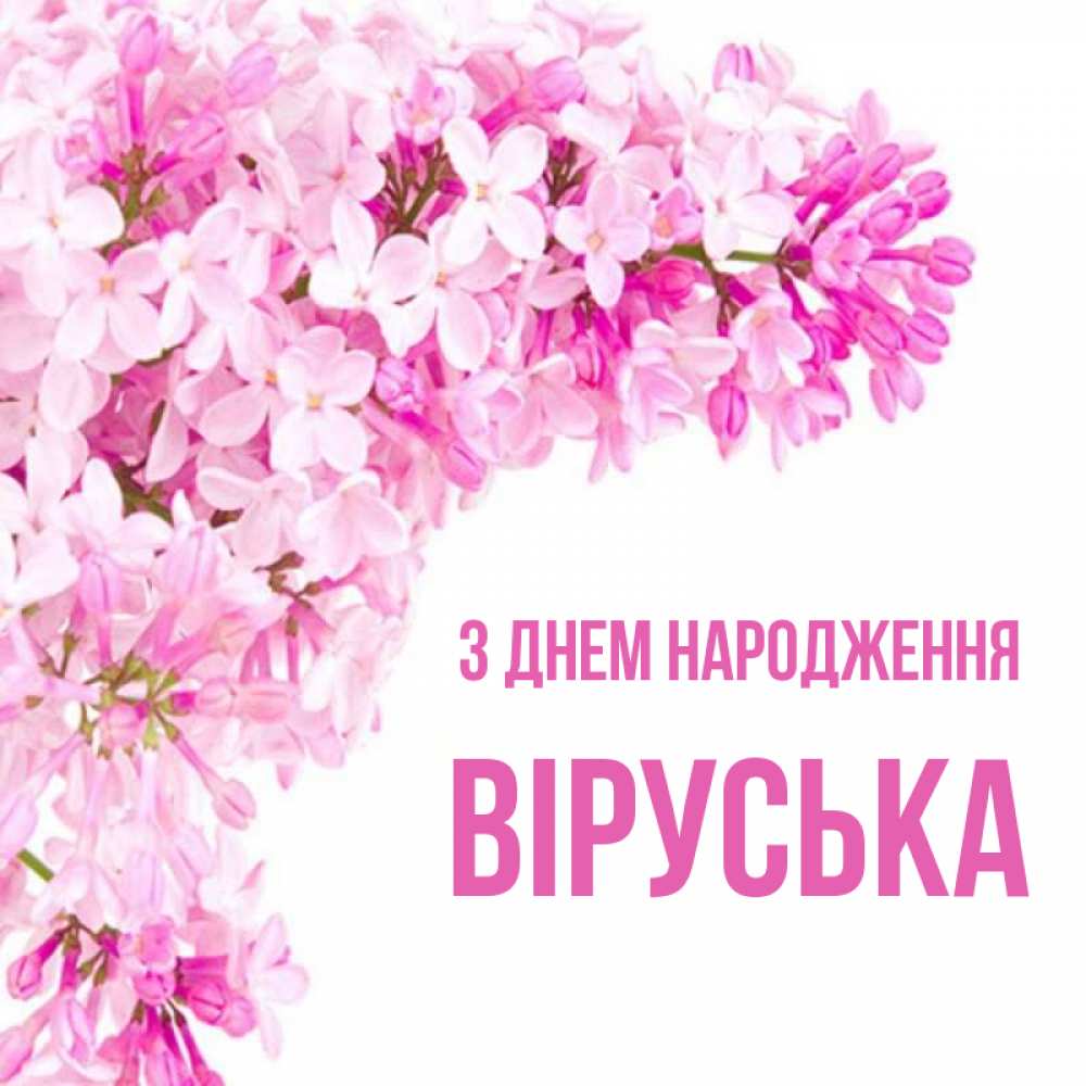 Открытка на каждый день з підписом, Віруська З Днем народження Сирень на белом фоне Прикольна листівка з побажанням онлайн скачати безкоштовно 