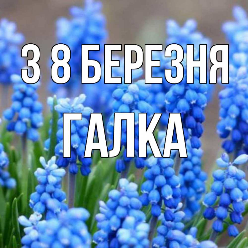 Открытка на каждый день з підписом, Галка З 8 БЕРЕЗНЯ Поздравительная открытка для женщин с цветами на праздничную дату Прикольна листівка з побажанням онлайн скачати безкоштовно 