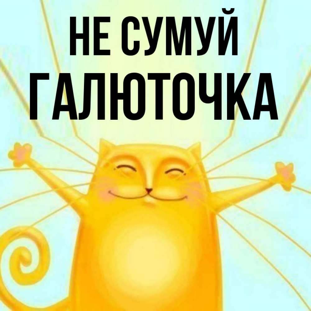 Открытка на каждый день з підписом, Галюточка Не сумуй обнимашки усатые Прикольна листівка з побажанням онлайн скачати безкоштовно 