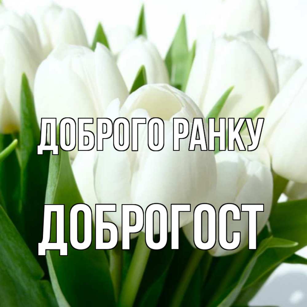 Открытка на каждый день з підписом, Доброгост Доброго ранку открытки на каждый день по именам Прикольна листівка з побажанням онлайн скачати безкоштовно 