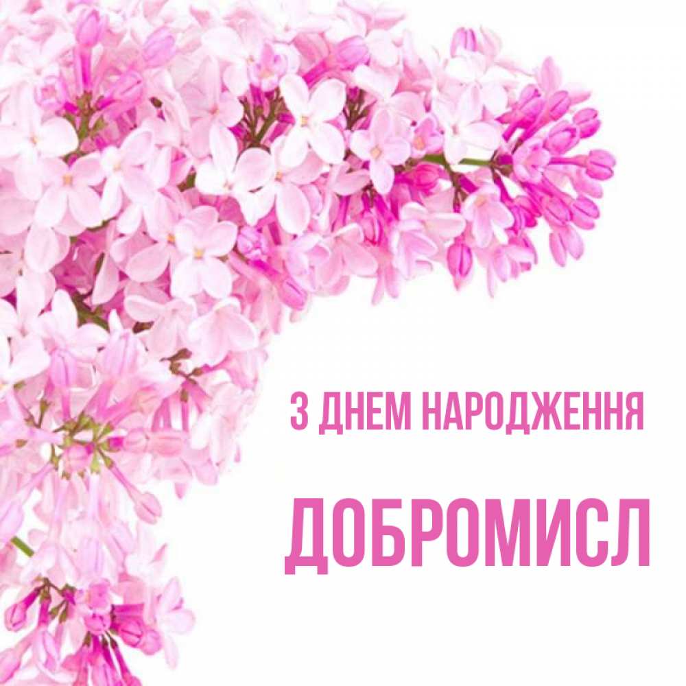 Открытка на каждый день з підписом, Добромисл З Днем народження Сирень на белом фоне Прикольна листівка з побажанням онлайн скачати безкоштовно 