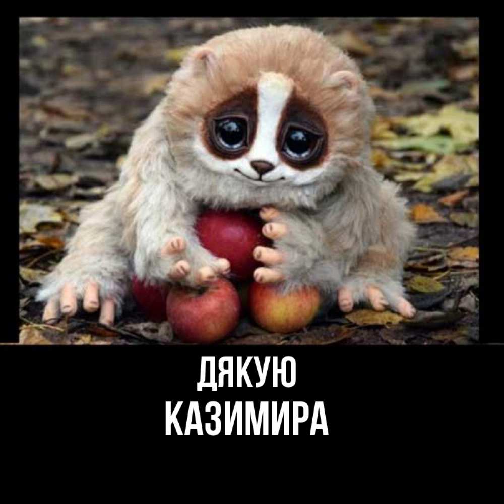 Открытка на каждый день з підписом, Казимира Дякую прикольное животное Прикольна листівка з побажанням онлайн скачати безкоштовно 