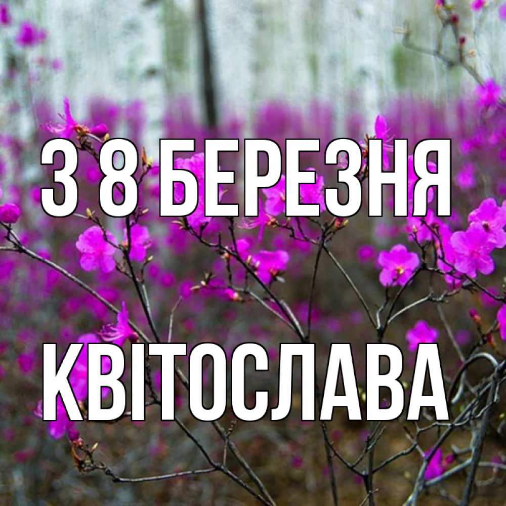Открытка на каждый день з підписом, Квітослава З 8 БЕРЕЗНЯ дикие цветы Прикольна листівка з побажанням онлайн скачати безкоштовно 