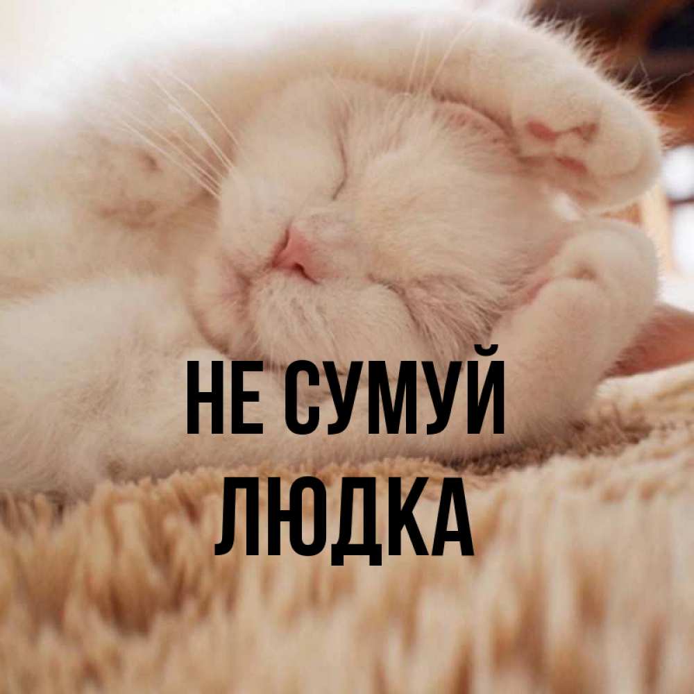 Открытка на каждый день з підписом, Людка Не сумуй Котенок спит Прикольна листівка з побажанням онлайн скачати безкоштовно 