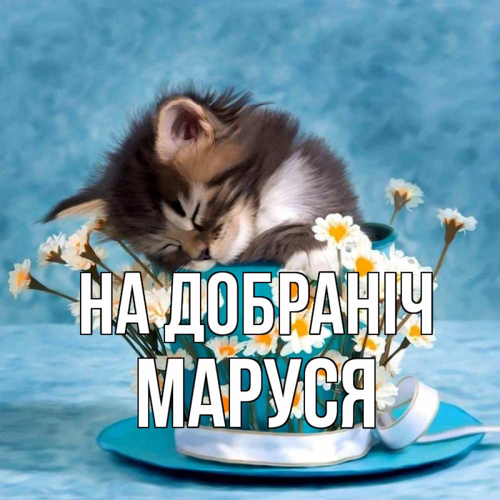 Открытка на каждый день з підписом, Маруся На добраніч котенок спит в кружке с блюдцем Прикольна листівка з побажанням онлайн скачати безкоштовно 