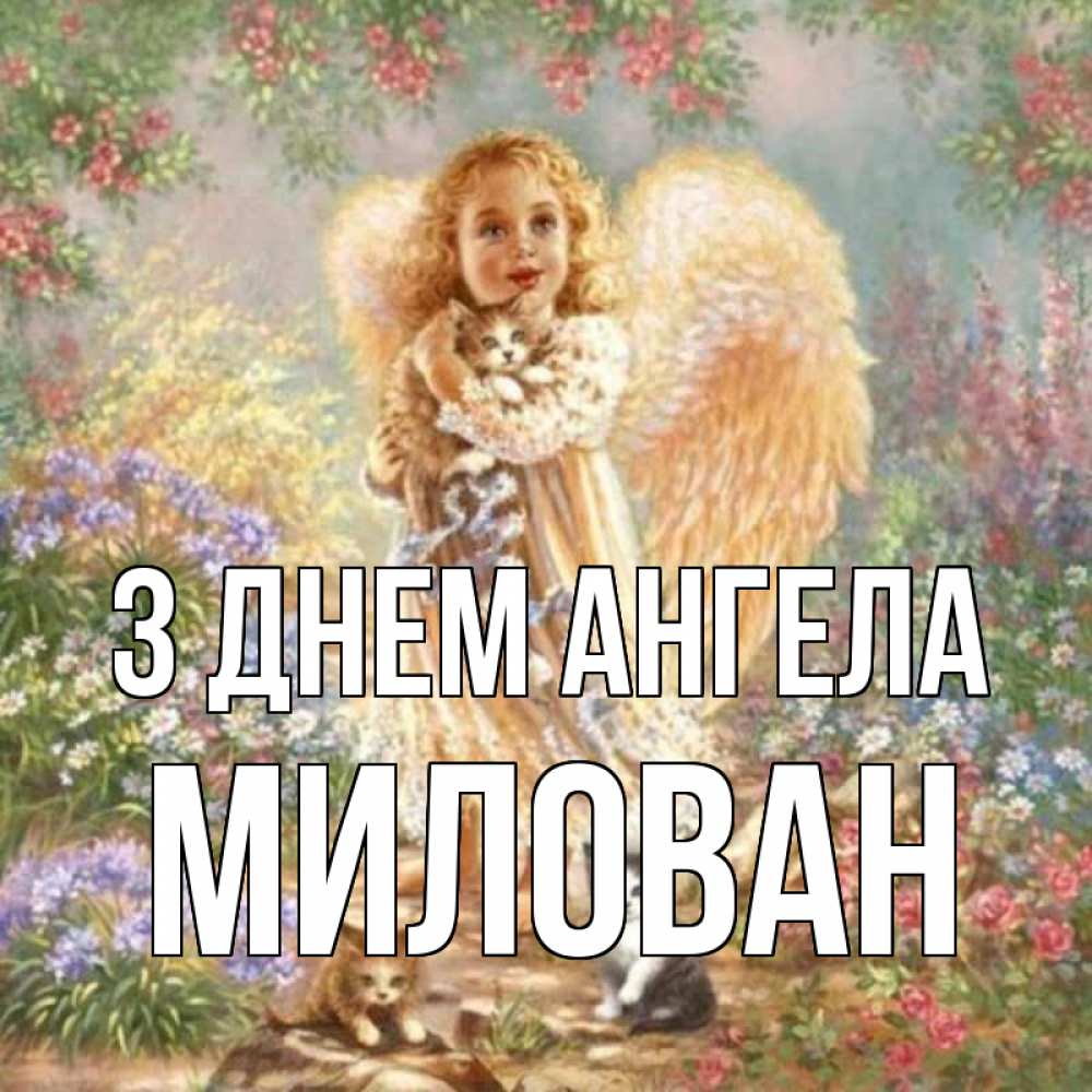 Открытка на каждый день з підписом, Милован З Днем ангела держит котенка Прикольна листівка з побажанням онлайн скачати безкоштовно 