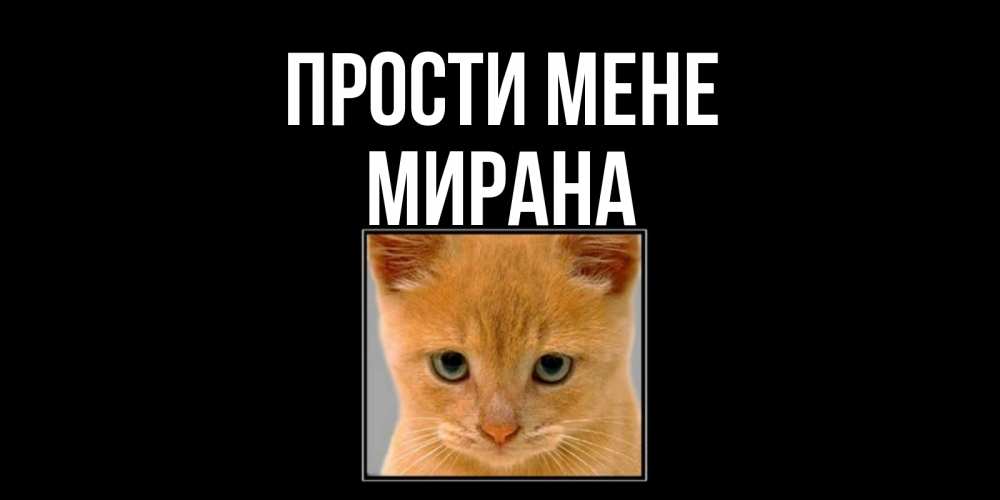 Открытка на каждый день з підписом, Мирана Прости мене рыжий грустный кот просит прощения Прикольна листівка з побажанням онлайн скачати безкоштовно 