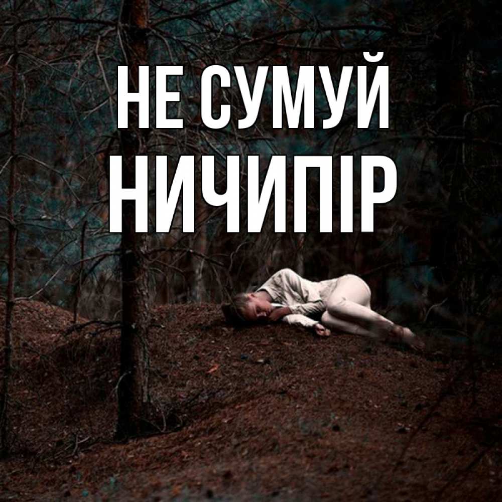 Открытка на каждый день з підписом, Ничипір Не сумуй лес Прикольна листівка з побажанням онлайн скачати безкоштовно 