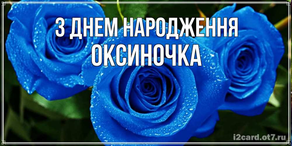 Открытка на каждый день з підписом, Оксиночка З Днем народження розы с синим цветом Прикольна листівка з побажанням онлайн скачати безкоштовно 