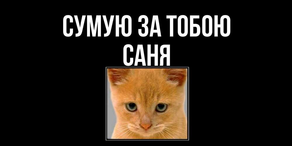 Открытка на каждый день з підписом, Саня Сумую за тобою открытки рыжий котенок скучает по тебе Прикольна листівка з побажанням онлайн скачати безкоштовно 