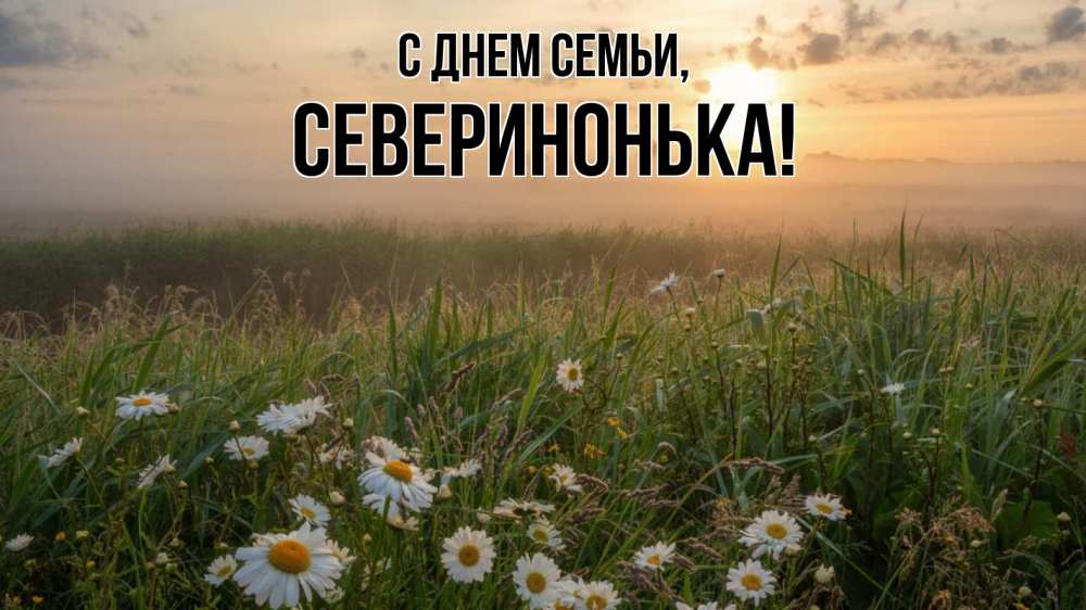 Открытка на каждый день з підписом, Северинонька С днем семьи с днем семьи Прикольна листівка з побажанням онлайн скачати безкоштовно 