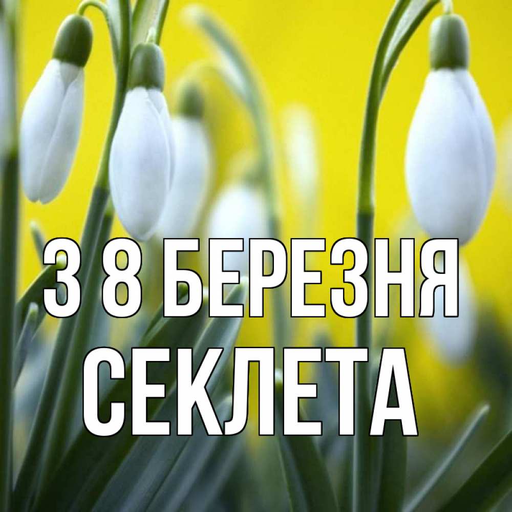 Открытка на каждый день з підписом, Секлета З 8 БЕРЕЗНЯ весенние цветы Прикольна листівка з побажанням онлайн скачати безкоштовно 