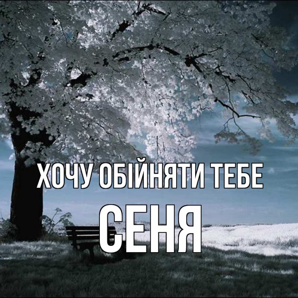 Открытка на каждый день з підписом, Сеня Хочу обійняти тебе дерево Прикольна листівка з побажанням онлайн скачати безкоштовно 