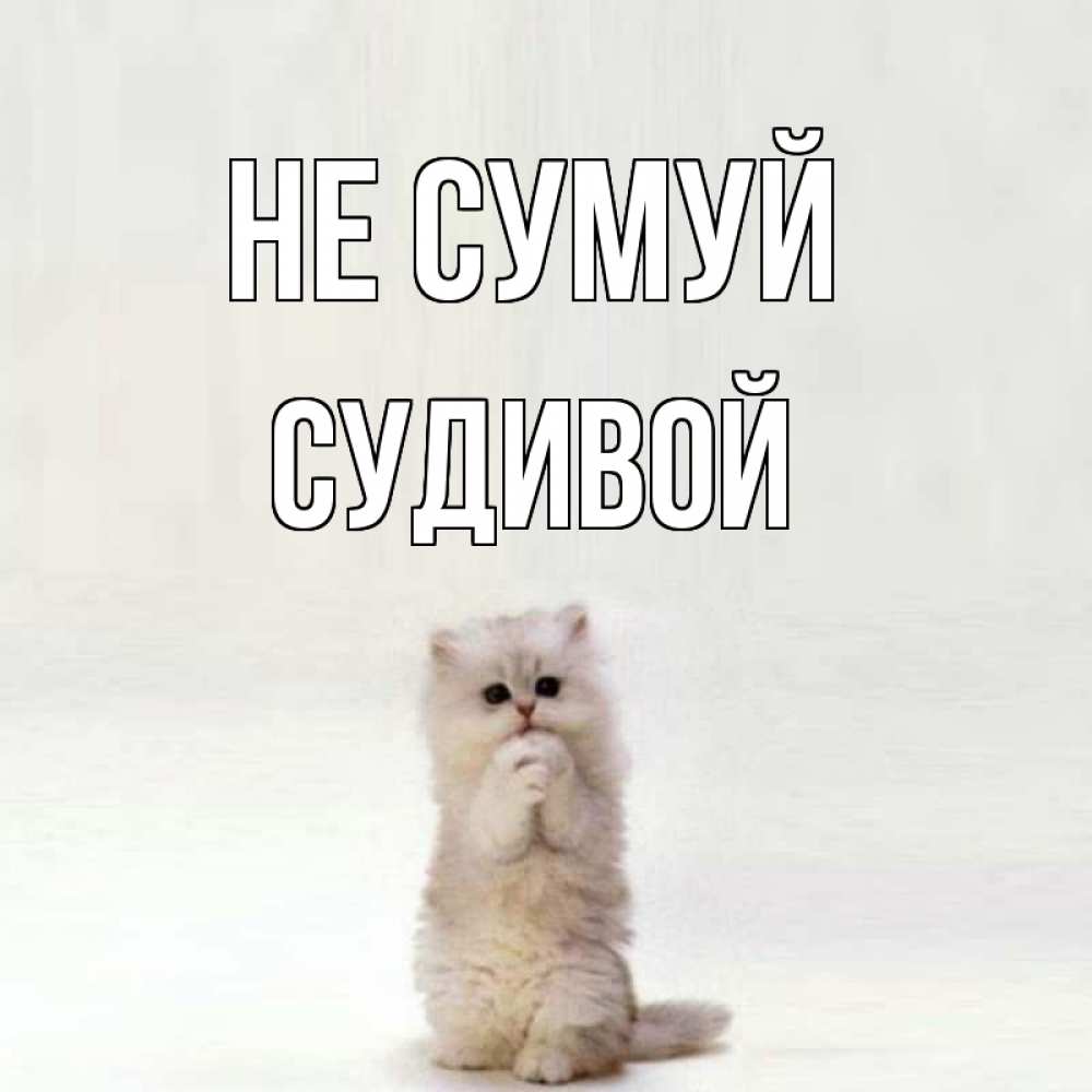 Открытка на каждый день з підписом, Судивой Не сумуй грустный кот Прикольна листівка з побажанням онлайн скачати безкоштовно 
