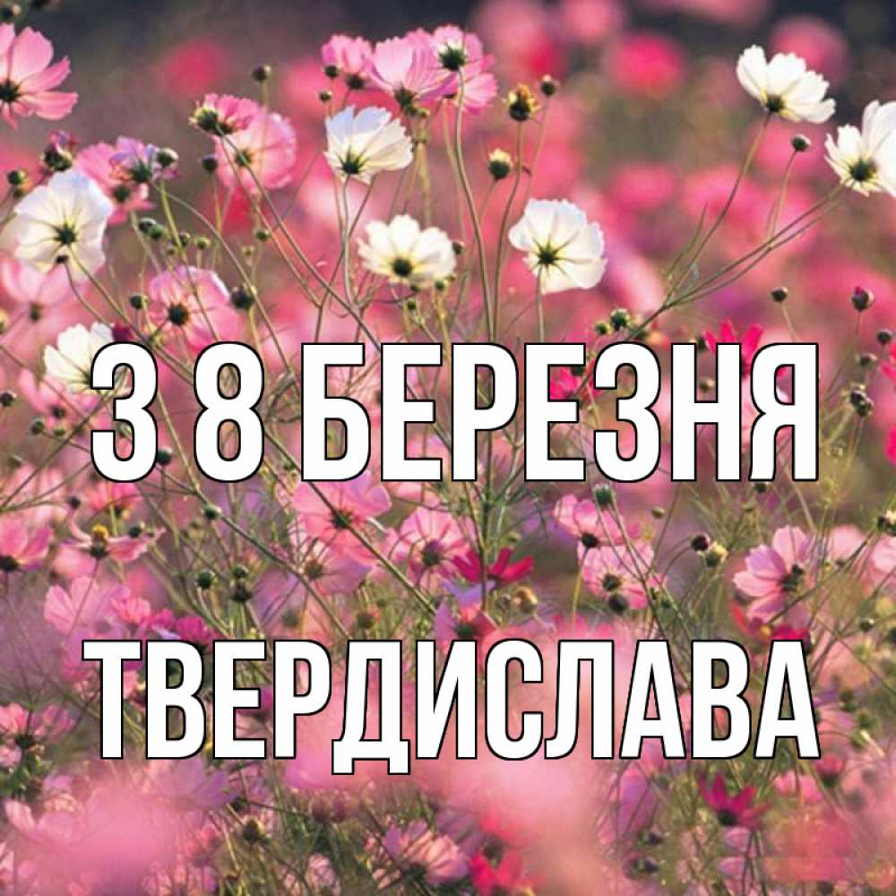 Открытка на каждый день з підписом, Твердислава З 8 БЕРЕЗНЯ красиво 1 Прикольна листівка з побажанням онлайн скачати безкоштовно 