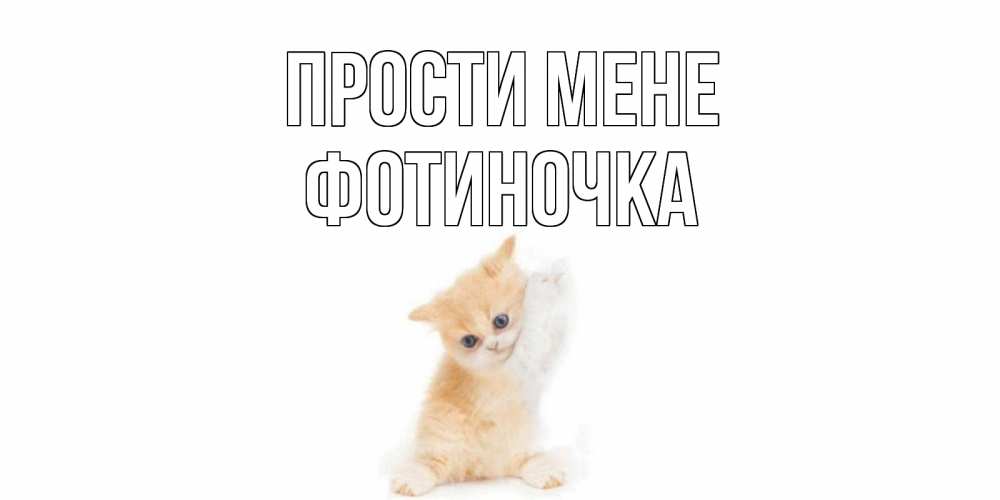 Открытка на каждый день з підписом, Фотиночка Прости мене кот Прикольна листівка з побажанням онлайн скачати безкоштовно 