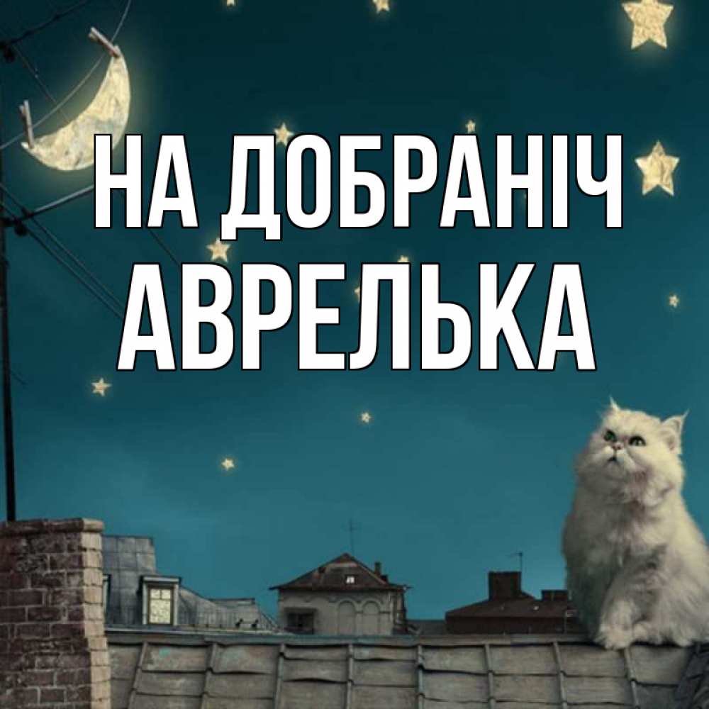Открытка на каждый день з підписом, Аврелька На добраніч белый кот сидит на крыше Прикольна листівка з побажанням онлайн скачати безкоштовно 