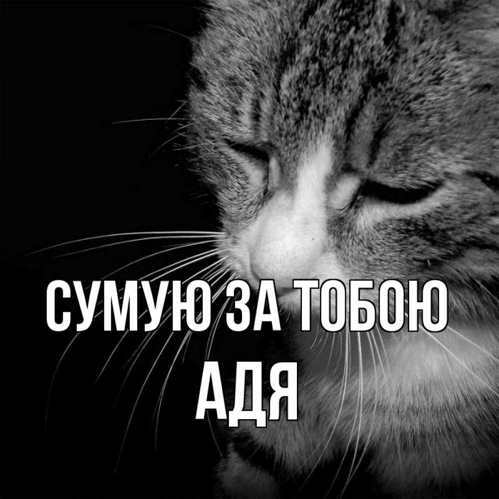 Открытка на каждый день з підписом, Адя Сумую за тобою мне скучно Прикольна листівка з побажанням онлайн скачати безкоштовно 