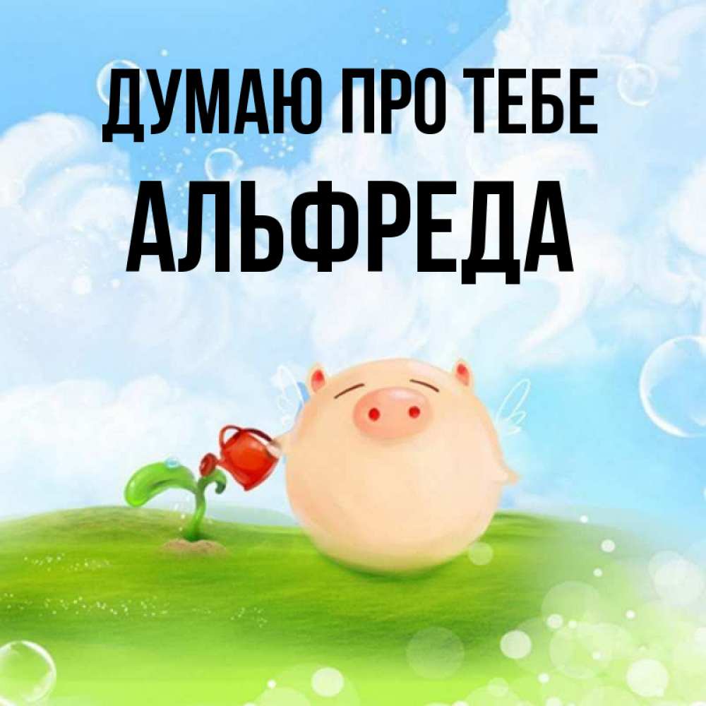 Открытка на каждый день з підписом, Альфреда Думаю про тебе позитивная свинюшка Прикольна листівка з побажанням онлайн скачати безкоштовно 