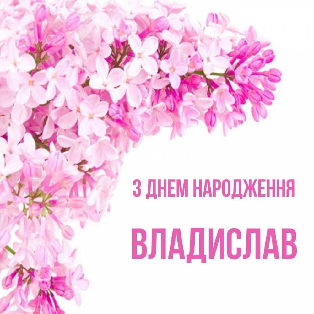 Открытка на каждый день з підписом, Владислав З Днем народження Сирень на белом фоне Прикольна листівка з побажанням онлайн скачати безкоштовно 