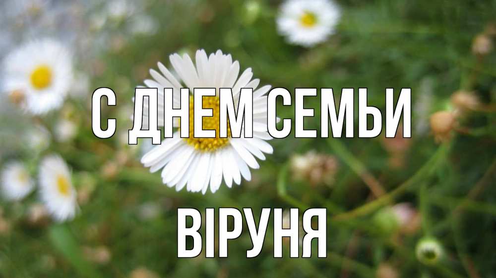 Открытка на каждый день з підписом, Віруня С днем семьи с днем семьи Прикольна листівка з побажанням онлайн скачати безкоштовно 