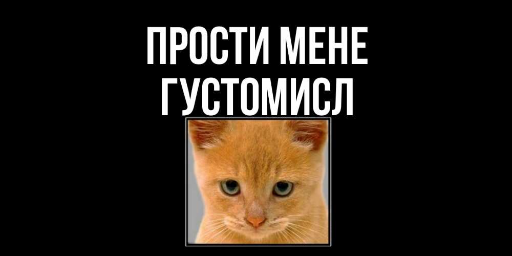 Открытка на каждый день з підписом, Густомисл Прости мене рыжий грустный кот просит прощения Прикольна листівка з побажанням онлайн скачати безкоштовно 