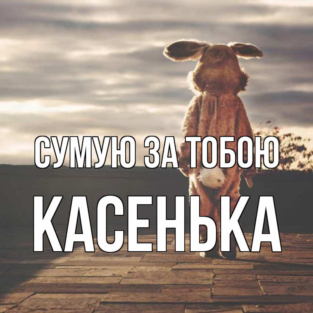 Открытка на каждый день з підписом, Касенька Сумую за тобою даже в костюме зайца Прикольна листівка з побажанням онлайн скачати безкоштовно 