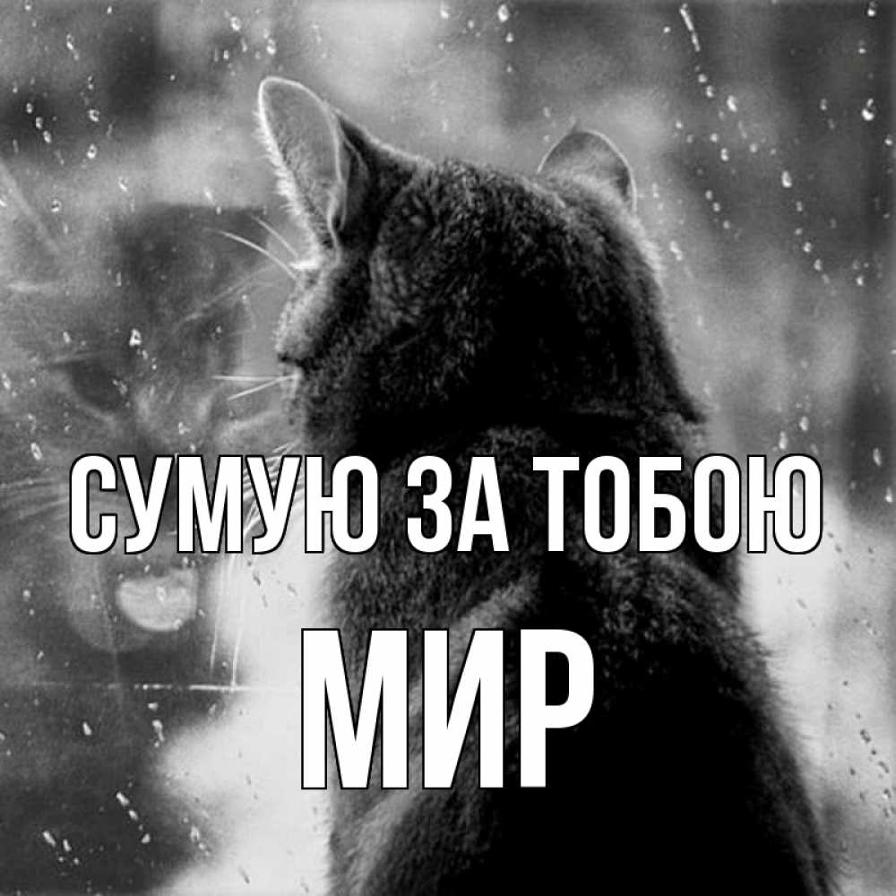 Открытка на каждый день з підписом, Мир Сумую за тобою скорее ко мне приходи 1 Прикольна листівка з побажанням онлайн скачати безкоштовно 