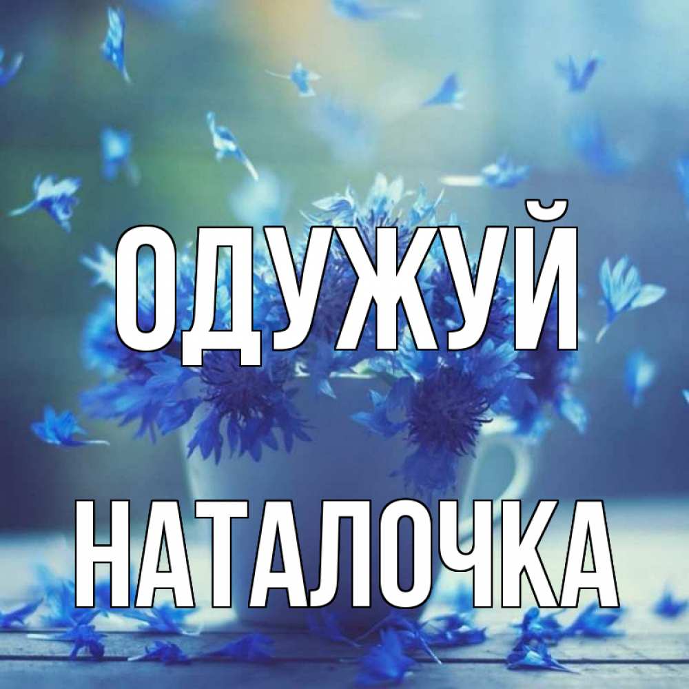 Открытка на каждый день з підписом, Наталочка Одужуй кружка с зельем и цветами Прикольна листівка з побажанням онлайн скачати безкоштовно 