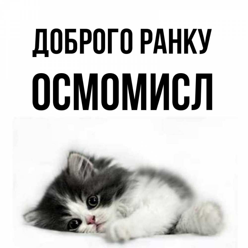 Открытка на каждый день з підписом, Осмомисл Доброго ранку кот лапки Прикольна листівка з побажанням онлайн скачати безкоштовно 