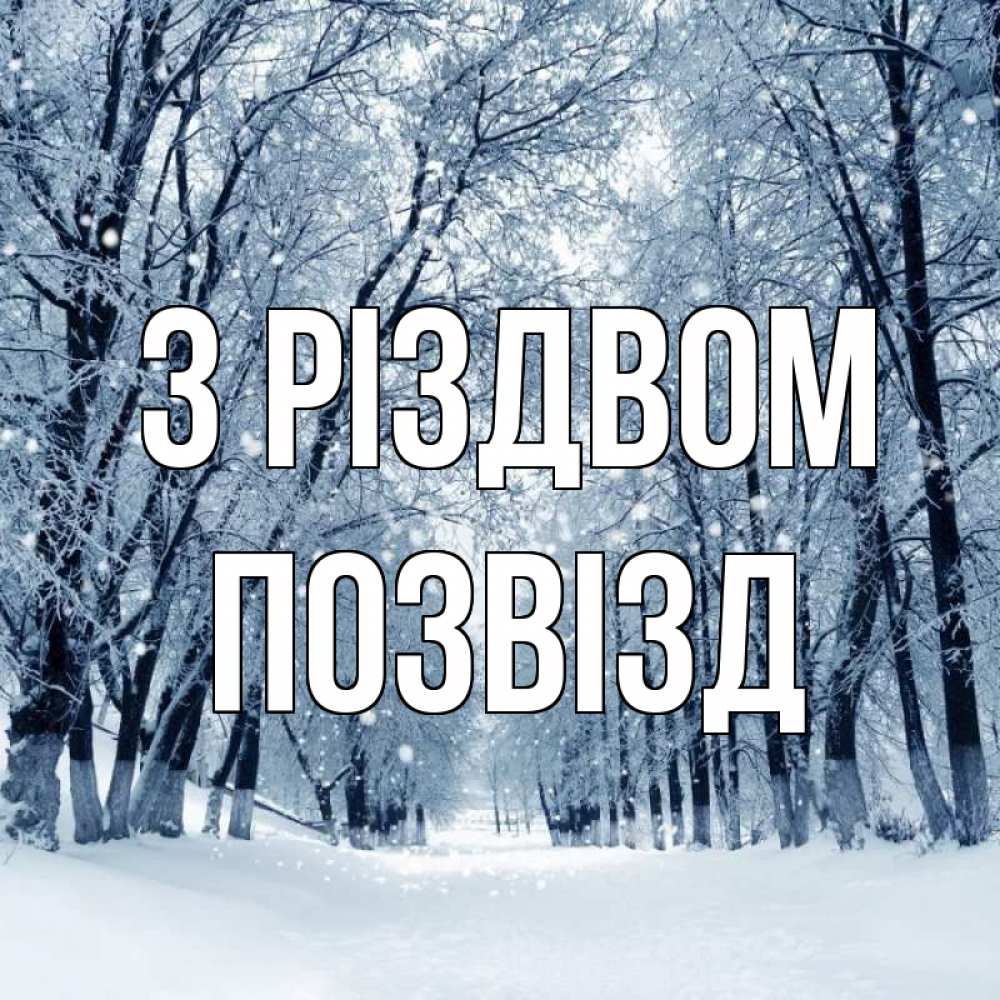 Открытка на каждый день з підписом, Позвізд З Різдвом снег, лес, парк Прикольна листівка з побажанням онлайн скачати безкоштовно 
