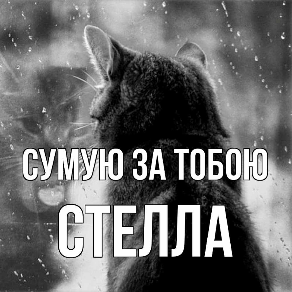 Открытка на каждый день з підписом, Стелла Сумую за тобою скорее ко мне приходи 1 Прикольна листівка з побажанням онлайн скачати безкоштовно 