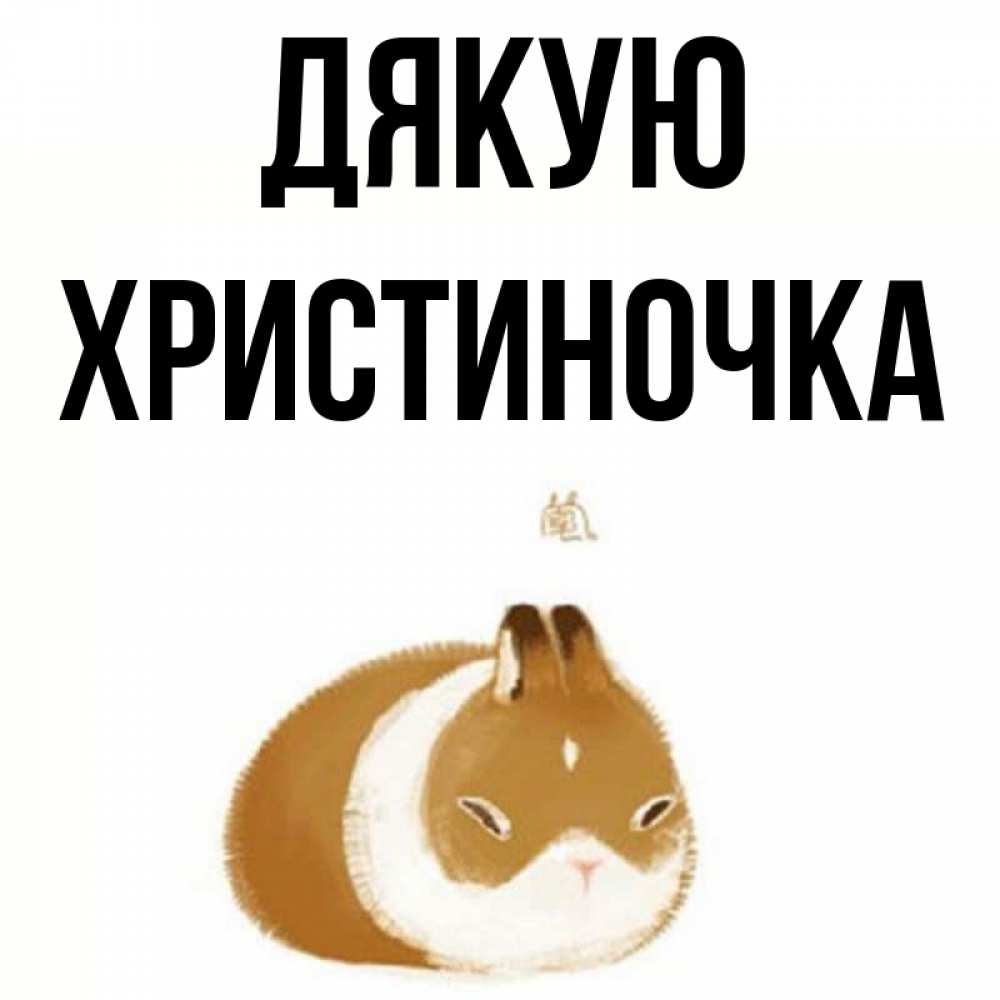 Открытка на каждый день з підписом, Христиночка Дякую коричнево белый домашний питомец Прикольна листівка з побажанням онлайн скачати безкоштовно 