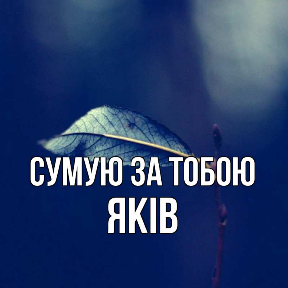 Открытка на каждый день з підписом, Яків Сумую за тобою одна ветка 1 Прикольна листівка з побажанням онлайн скачати безкоштовно 