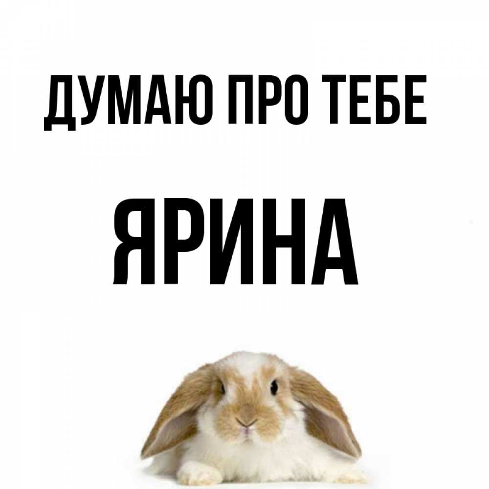Открытка на каждый день з підписом, Ярина Думаю про тебе подписать своими руками онлайн Прикольна листівка з побажанням онлайн скачати безкоштовно 