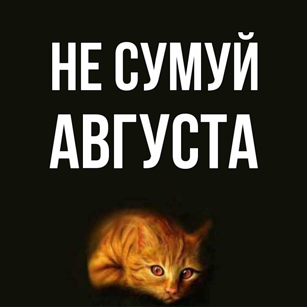 Открытка на каждый день з підписом, Августа Не сумуй лежащий кот в темноте Прикольна листівка з побажанням онлайн скачати безкоштовно 