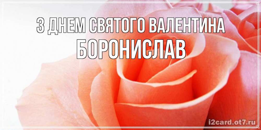 Открытка на каждый день з підписом, Боронислав З Днем Святого Валентина открытка на день Святого Валентина с розовой розой Прикольна листівка з побажанням онлайн скачати безкоштовно 