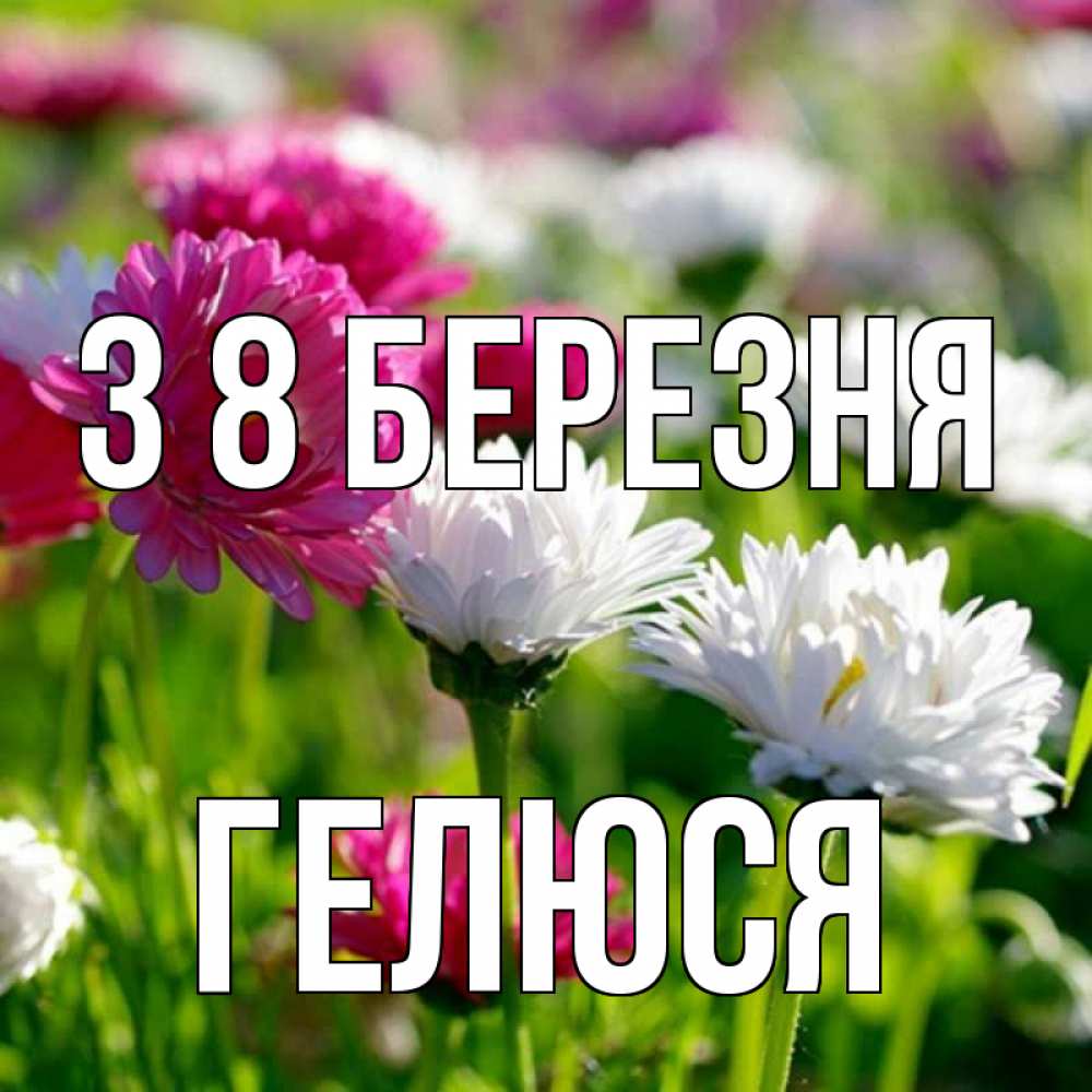 Открытка на каждый день з підписом, Гелюся З 8 БЕРЕЗНЯ международный женский день 1 Прикольна листівка з побажанням онлайн скачати безкоштовно 