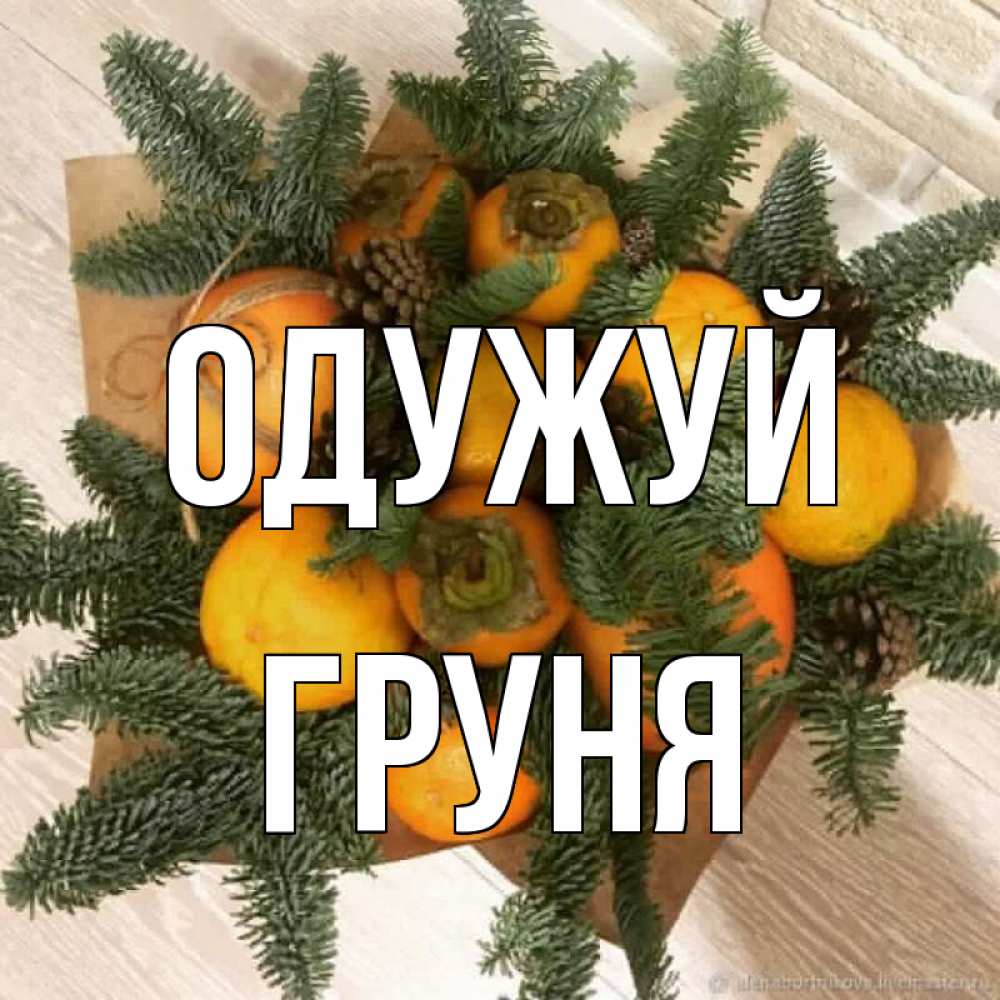 Открытка на каждый день з підписом, Груня Одужуй апельсины и хурьма Прикольна листівка з побажанням онлайн скачати безкоштовно 