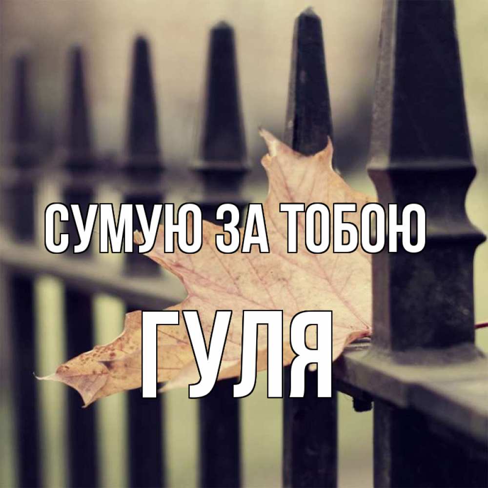 Открытка на каждый день з підписом, Гуля Сумую за тобою очень скучно Прикольна листівка з побажанням онлайн скачати безкоштовно 