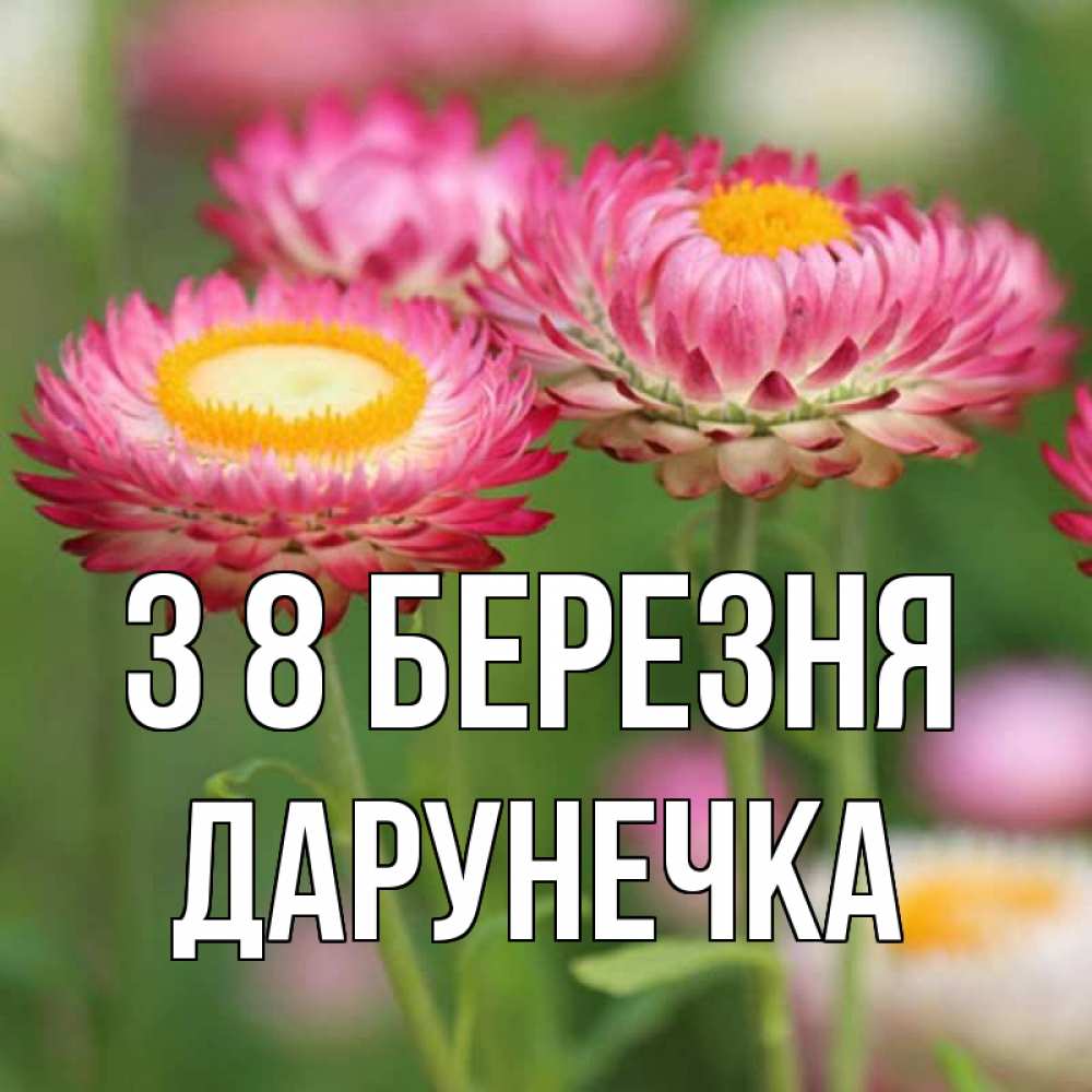 Открытка на каждый день з підписом, Дарунечка З 8 БЕРЕЗНЯ подарок на международный женский день Прикольна листівка з побажанням онлайн скачати безкоштовно 