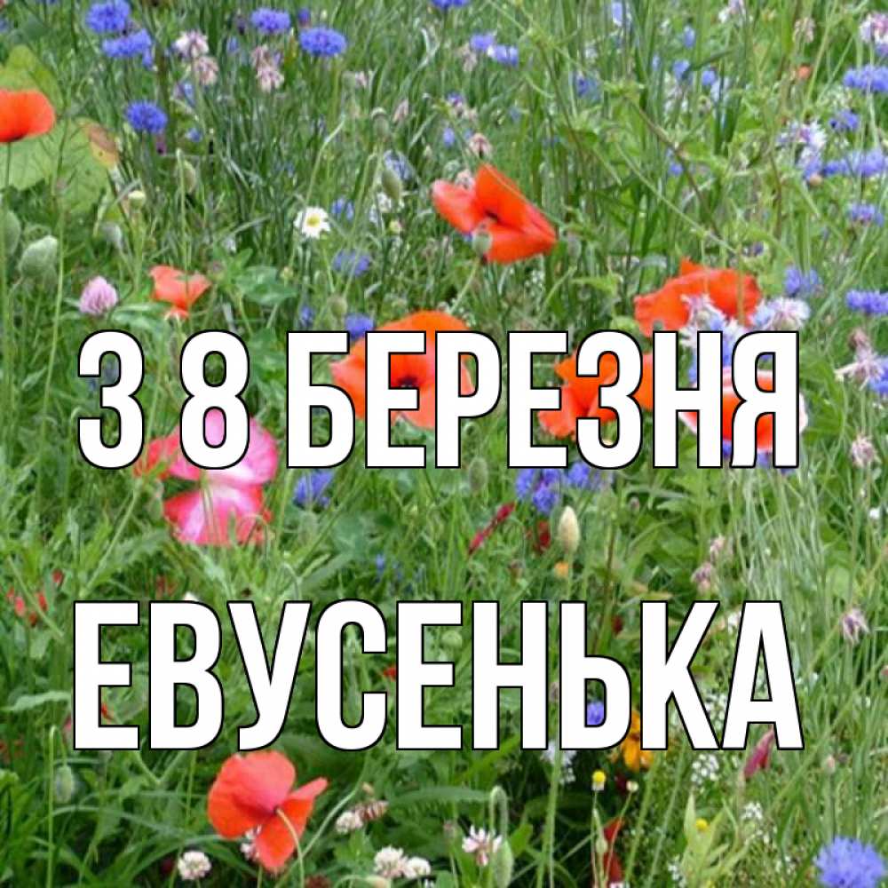 Открытка на каждый день з підписом, Евусенька З 8 БЕРЕЗНЯ международный женский день 4 Прикольна листівка з побажанням онлайн скачати безкоштовно 
